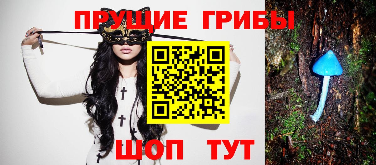 Псилоцибиновые грибы Psilocybe Гай