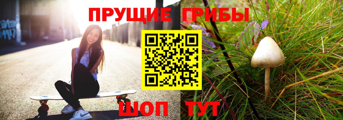 APVP Гай