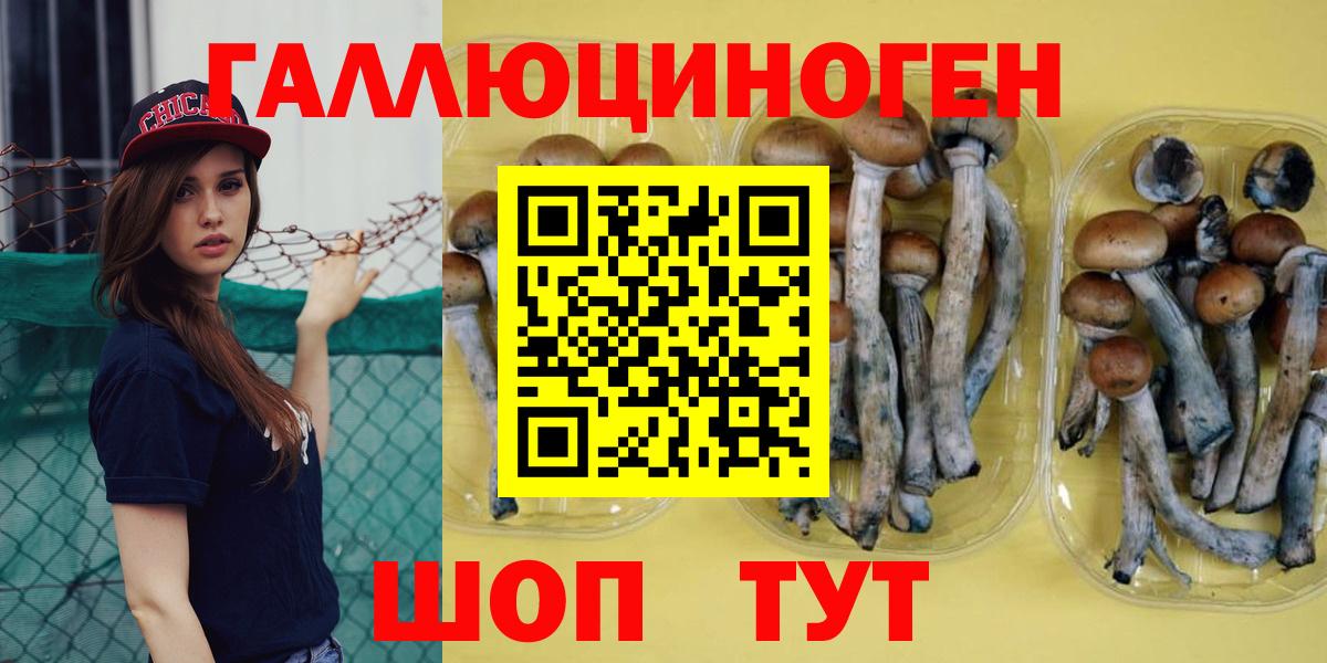 Гай  Галлюциногенные грибы Psilocybine cubensis  Вход с VPN 